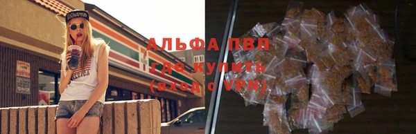 шишки Армянск