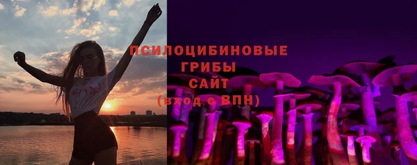 крисы Арсеньев