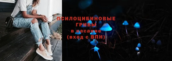 крисы Арсеньев