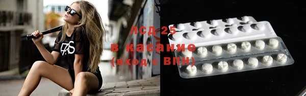 шишки Армянск
