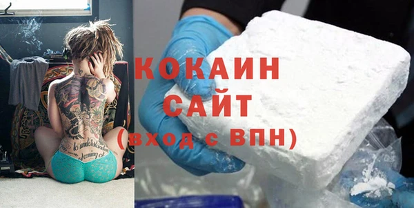 шишки Армянск