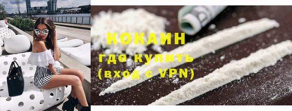 шишки Армянск